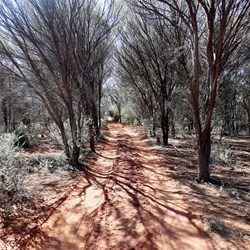 A narrow section of track approaching Well 7