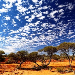 Nearly at Well 3 and back into mulga country
