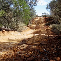 The condition of the track through Cunyu Station is probably why oversize vehicles and trailers are banned from the section