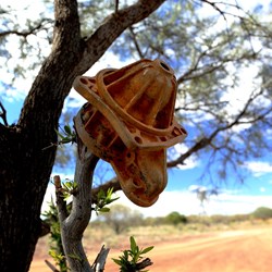 What's left of someone's Falcon starter motor at Well 2