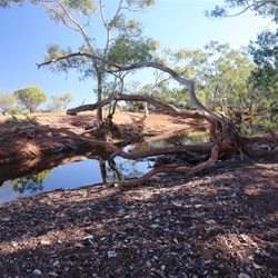 Crossing Ann Creek on the road to Carnegie