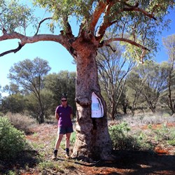 Ali at Len Beadell's tree