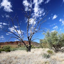 East McDonnell Ranges