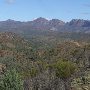 Bunyeroo Valley (Razorback)