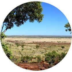 Pilbara