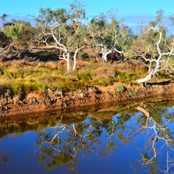 Outback river and landscape