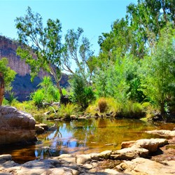 Pool at Champage Springs