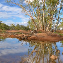 Gascoyne Reflections