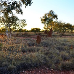 Sunset near Halls Creek