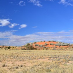Innamincka Landscape