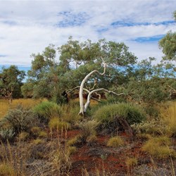 Karijini landscape