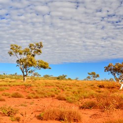Pilbara colours