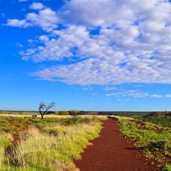 Pilbara colours