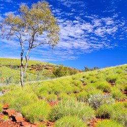 Pilbara colours