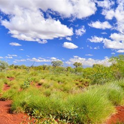 Pilbara landscape