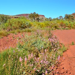 Pilbara landscape