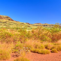 Pilbara landscape