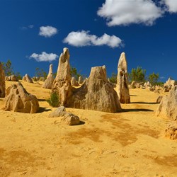 Pinnacles 