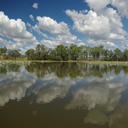 Lake Theresa landscape