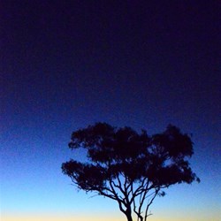 dusk and moon near Boulia