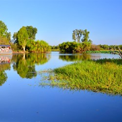 reflections on Yellow Waters, Kakadu