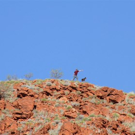 Al on top of the hill