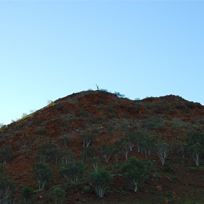 Look closely - Petey atop the northern Hill