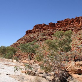 The wide slabbed floor of the creek