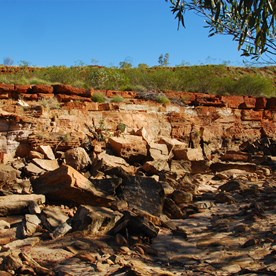 The creek - note the steep eroded banks