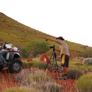 A little bit of artistic direction