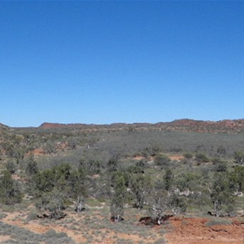 The "Pound" area immediately behind the entrance to the Glen