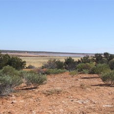 View over the serpantine Lakes