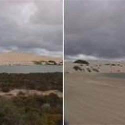 Chadinga CP & Cactus