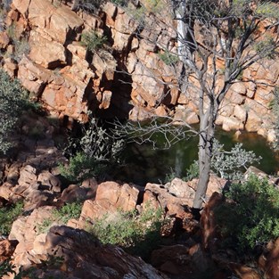 Curran Curran from on high