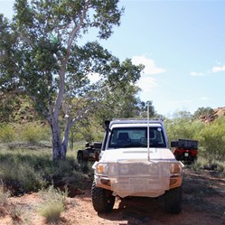 Curran Curran - Ute sporting latest fashions