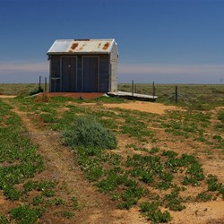 Dunnies at One Tree Hotel, One Tree Plains, Hay