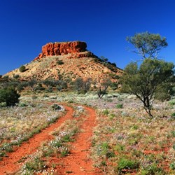 Bishop Riley's Pulpit