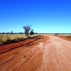  Mt Shenton-Yamarna Road