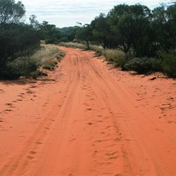 We had to share the track, notice the camel tracks to the left of the picture