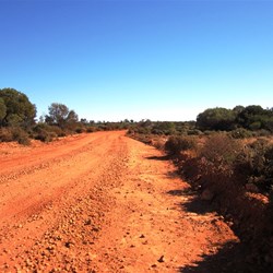 The Anne Beadell Highway just out of Yamarna Homestead
