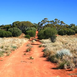 The track south from Voakes Hill Corner to Cook on the Trans train line