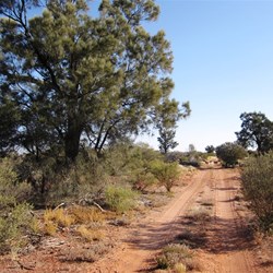 The "highway" is becoming more and more a track