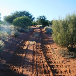 The Anne Beadell on the approach to Emu