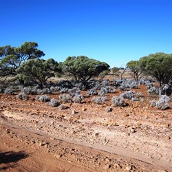 The rocky road to Ground Zero