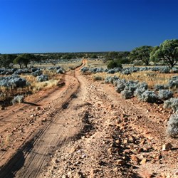 It gets worse from here