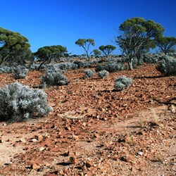 We didn't know if the place was this desolate before the nuclear tests or if that was why it was chosen