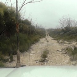 The long road to Mt Ragged