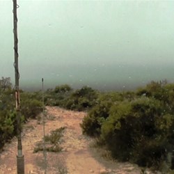 All we could see of Mt Ragged by the time we finally got there