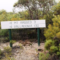 This is where we left the French girls