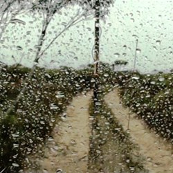 Down the slippery slope to Israelite Bay